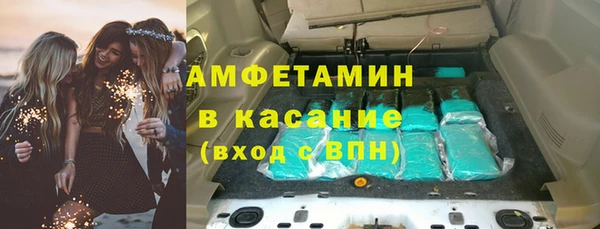 твердый Арсеньев