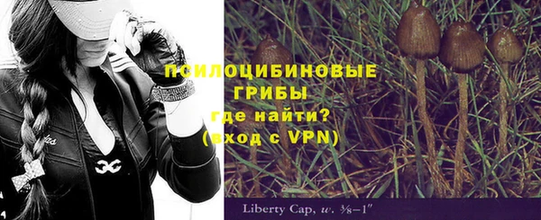 твердый Арсеньев