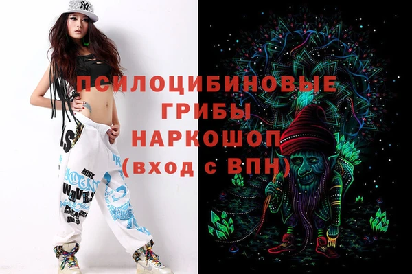 твердый Арсеньев
